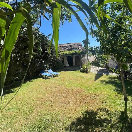 Chozito De Paja A 300M. Playa Mangueta Casa de hóspedes El Palmar  Exterior foto