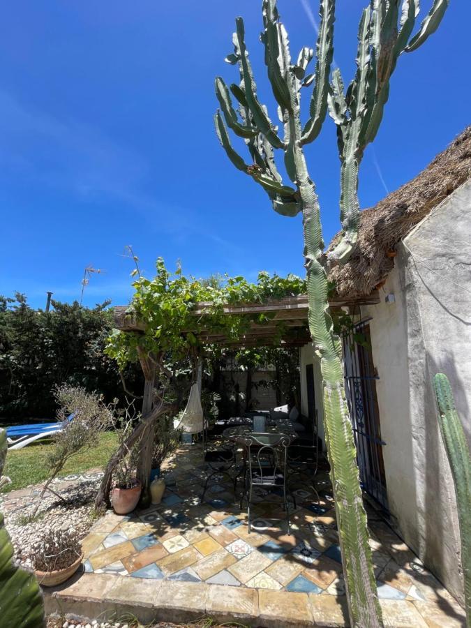 Chozito De Paja A 300M. Playa Mangueta Casa de hóspedes El Palmar  Exterior foto