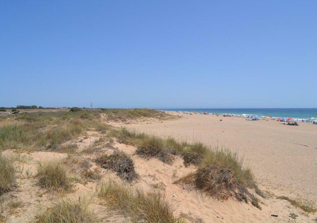 Chozito De Paja A 300M. Playa Mangueta Casa de hóspedes El Palmar  Exterior foto
